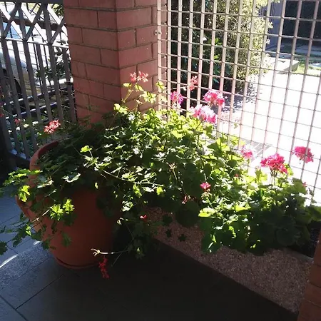 Apartament Casa Lumiere